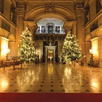 Christmas at Blenheim, Kew Gardens & Winchester