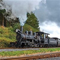 Welsh Wonders - Cash, Coal & Gin
