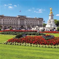 The Majesty of London-Royal Palaces &Afternoon Tea