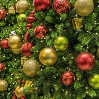 Scottish Festive Spectacular Drinks Inclusive