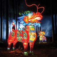 Longleat Festival of Light & Bristol