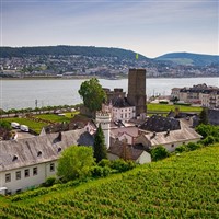 Treasures of the Rhine