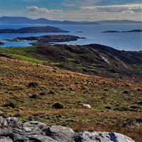 Jaunt Through Killarney  & Run Rings Around Kerry