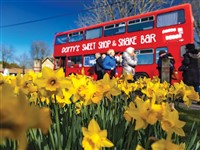 Thriplow Daffodil Festival & Cambridge